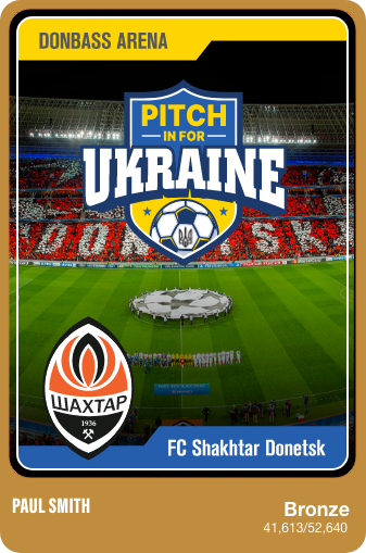 Bronze Pixel of the Pitch - Donbass Arena - FC Shakhtar